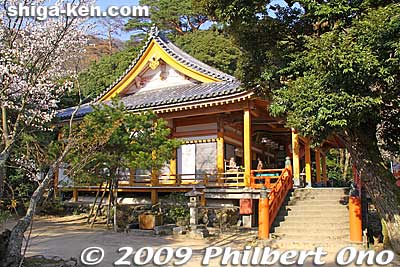 Osaki temple 大崎寺 
Keywords: shiga takashima makino-cho kaizu-osaki cherry blossoms sakura flowers lake biwa 