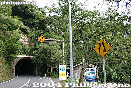 There are a few tunnels along the road. 
Keywords: shiga takashima makino-cho kaizu-osaki cherry blossoms sakura flowers lake biwa 