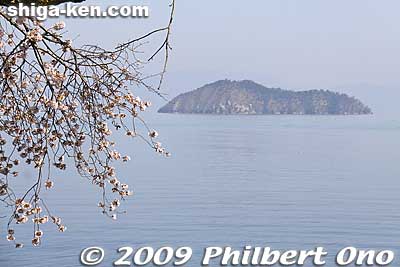 Chikubushima
Keywords: shiga takashima makino-cho kaizu-osaki cherry blossoms sakura flowers lake biwa chikubushima island 
