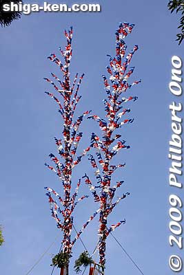 Top of O-nobori poles. The red, white, and blue motif caught my American eye. 
Keywords: shiga takashima imazu kawakami matsuri festival 