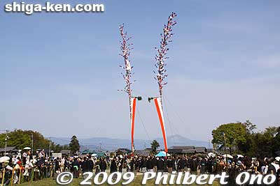 Then they slowly dragged the two O-nobori poles across the Otabisho.
Keywords: shiga takashima imazu kawakami matsuri festival 