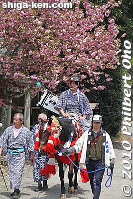 The young men performing the yakko-furi come from one of the eight former villages in the area. The former villages take turns in participating in the yakko-furi procession.
Keywords: shiga takashima shichikawa matsuri festival 