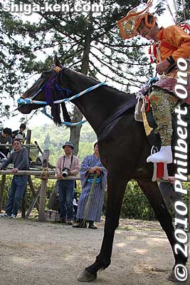 After his first run, the horseback archer trots back.
Keywords: shiga takashima shichikawa matsuri festival 