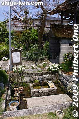 Shodenji temple has its own spring spewing drinkable water.
Keywords: shiga takashima shin-asahi harie 