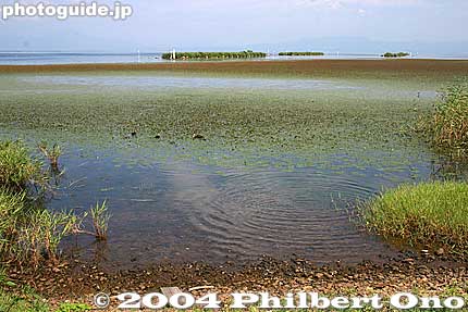 Bird-watching area in Shin-Asahi.
Keywords: shiga takashima shin-asahi lake biwa