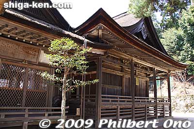 Haiden on left and Honden Hall on right.
Keywords: shiga takashima takashima-cho shirahige shinto shrine 