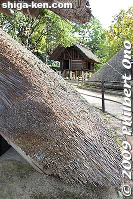 Keywords: shiga yasu dotaku museum yayoi period village shack 