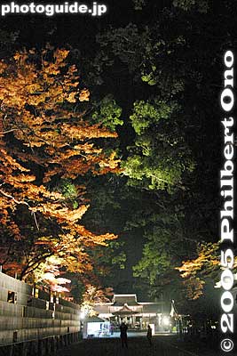 Path to shrine
Keywords: shiga yasu hyozu taisha shinto shrine fall autumn colors japanese garden