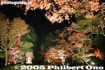 Hyozu Taisha Shrine's Japanese garden at night in fall. It's really beautiful. Like someone painted colorful autumn leaves on a black canvas.
Keywords: shiga yasu hyozu taisha shinto shrine fall autumn colors japanese garden shigabestviews