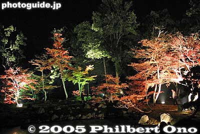 Keywords: shiga yasu hyozu taisha shinto shrine fall autumn colors japanese garden