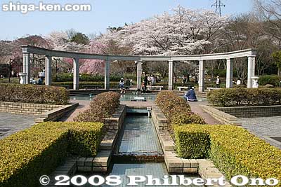 In spring, the cherries bloom in the botanical gardens. Lodging facilities, walking trails, playgrounds, and workshops are also provided. Water fountain. 近江富士花緑公園
Keywords: shiga yasu omi-fuji karyoku koen park flowers sakura cherry blossoms