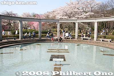 Water fountain
Keywords: shiga yasu omi-fuji karyoku koen park flowers sakura cherry blossoms