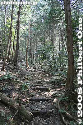 Steps
Keywords: shiga yasu mt. mikami mountain hiking forest trees