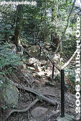 Steel railing to grab.
Keywords: shiga yasu mt. mikami mountain hiking forest trees