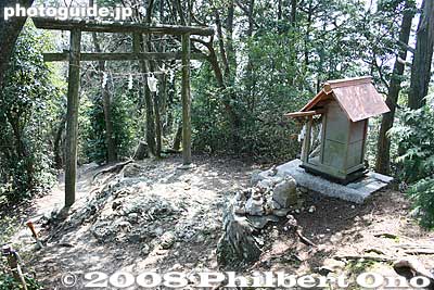 No sign for this little shrine.
Keywords: shiga yasu mt. mikami mountain hiking forest trees torii shinto shrine