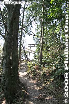 Summit in sight.
Keywords: shiga yasu mt. mikami mountain hiking forest trees