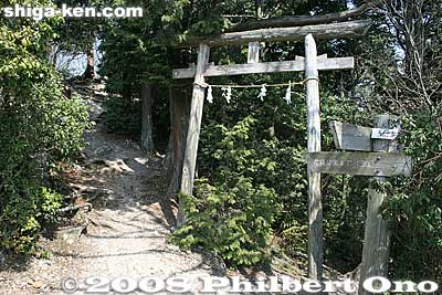 The path on the left leads to the mountain's peak.
Keywords: shiga yasu mt. mikami mountain hiking forest trees torii