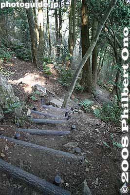 Log steps
Keywords: shiga yasu mt. mikami mountain hiking forest trees