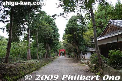 Way back to the torii.
Keywords: shiga yasu osasahara shinto shrine national treasure 