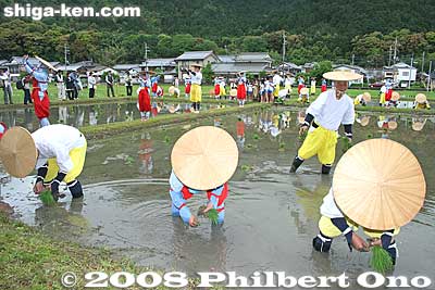 When the taiko drumming and folk singing started, they started planting the rice seedlings. On the ridge, there were dancers.
Keywords: shiga yasu rice paddy paddies planting festival o-taue matsuri