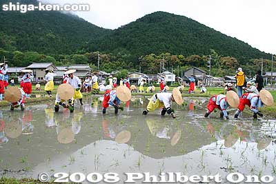 Keywords: shiga yasu rice paddy paddies planting festival o-taue matsuri