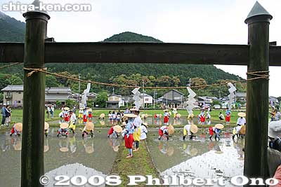 A gate with sacred rope
Keywords: shiga yasu rice paddy paddies planting festival o-taue matsuri