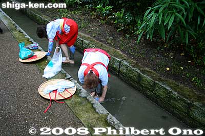 Afterward, they washed their feet in a stream next to Mikami Shrine.  Also see [url=http://photoguide.jp/pix/thumbnails.php?album=690]photos of the Taga Taisha Rice-Planting Festival.[/url]
Keywords: shiga yasu rice paddy paddies planting festival o-taue matsuri