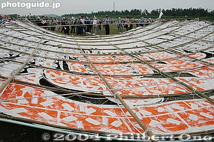 Ready for flight
Keywords: shiga yokaichi giant kite festival 滋賀県　八日市　大凧祭り