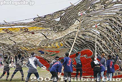 Raising the kite. Long bamboo poles are used to prop the huge kite upward to meet the wind.
Keywords: shiga yokaichi giant kite festival 滋賀県　八日市　大凧祭り