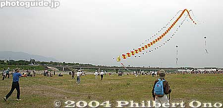 Kite train or "rendako." These kites are pretty to watch. 連凧
Keywords: shiga yokaichi giant kite festival 滋賀県　八日市　大凧祭り