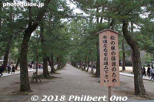 Sign says we are not to walk along center path in order to protect the roots of the pine trees. I'm also told that this center path is reserved for the gods visiting the shrine..
Keywords: shimane Izumo Taisha Shrine