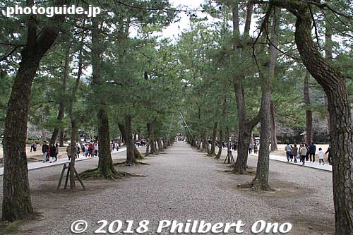 This center path is reserved for the gods visiting Izumo Taisha. Humans have to walk on the side paths to the shrine. 参道
Keywords: shimane Izumo Taisha Shrine japanshrine