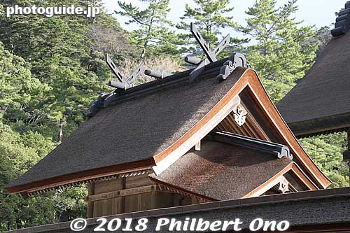 The Honden is flanked on both sides by smaller shrines.
Keywords: shimane Izumo Taisha Shrine