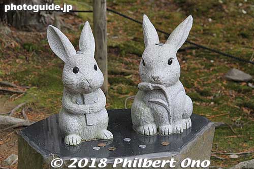 Rabbits or hares at Izumo Taisha, symbol of fertility and marriage.
Keywords: shimane Izumo Taisha Shrine