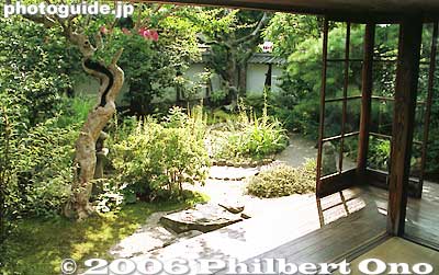 View of garden in Lafcadio Hearn's old residence.
Keywords: shimane matsue