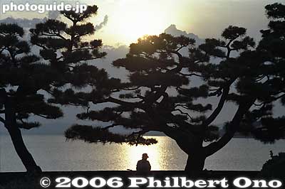 Lake Shinji and Matsu pine trees
Keywords: shimane matsue lake shinji