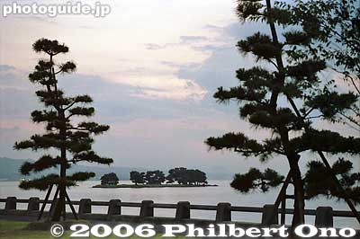 Keywords: shimane matsue lake shinji pine tree