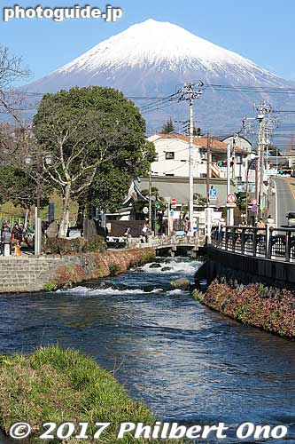 The shrine has a varied and scenic landscape with a river, lawn, and natural spring pond.
Keywords: shizuoka Fujinomiya Fujisan Hongu Sengen Taisha Shrine shinto japanmt