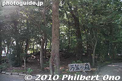 Manyo no Mori forest
Keywords: shizuoka mishima rakujuen garden 