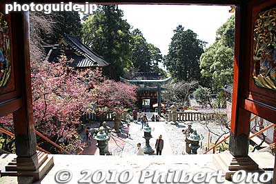 View from Karamon Gate
Keywords: shizuoka nihondaira kunozan toshogu shrine 
