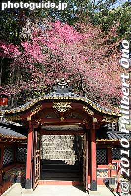 Gate to Tokugawa Ieyasu's tomb is also an Important Cultural Property. 廟所
Keywords: shizuoka nihondaira kunozan toshogu shrine 