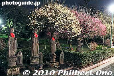 Plum trees
Keywords: tochigi ashikaga toshikoshi samurai warrior procession festival matsuri 