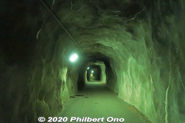 So Tateiwa Tunnel is like being inside a mother's womb. It goes to the Tateiwa Scenic Point.
Keywords: tochigi nikko Kinugawa Onsen
