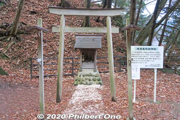 Next to Tateiwa Scenic Point is Tateiwa Kinuhime Shrine. 
Keywords: tochigi nikko Kinugawa Onsen