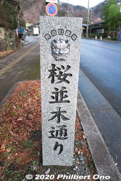 Cherry blossom road in Kinugawa Onsen.
Keywords: tochigi nikko Kinugawa Onsen
