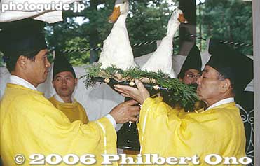 Offering of ducks (dead)
Keywords: tochigi nikko toshogu shrine spring festival
