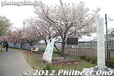 Monument for cherry trees along the Arakawa River.
Keywords: Tokyo Adachi-ku Toshi Nogyo koen Park goshiki sakura cherry blossoms matsuri festival flowers
