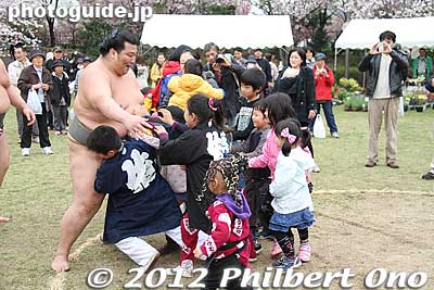 Sumo wrestler with kids at Toshi Nogyo Park in Adachi Ward, Tokyo.
Keywords: Tokyo Adachi-ku Toshi Nogyo koen Park goshiki sakura cherry blossoms matsuri festival flowers sumo wrestlers children kids japanchild