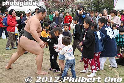 Keywords: Tokyo Adachi-ku Toshi Nogyo koen Park goshiki sakura cherry blossoms matsuri festival flowers sumo wrestlers children kids japanchild