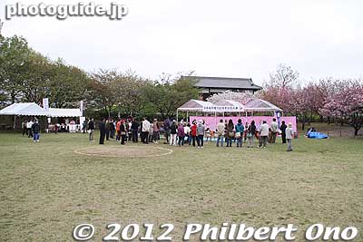 By late afternoon, most of the crowd had dissipated.
Keywords: Tokyo Adachi-ku Toshi Nogyo koen Park goshiki sakura cherry blossoms matsuri festival flowers sumo wrestlers